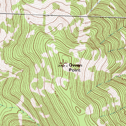 Topographic Map of Owen Point, MT