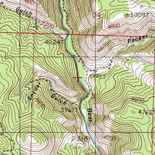 Topographic Map of Packer Gulch, MT