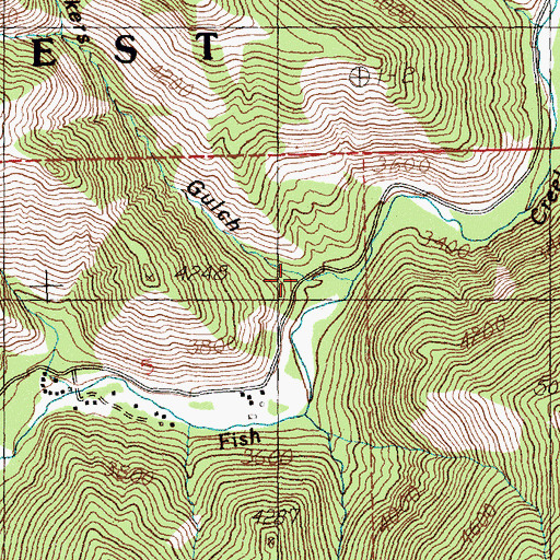 Topographic Map of Packers Gulch, MT