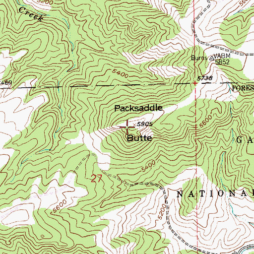 Topographic Map of Packsaddle Butte, MT