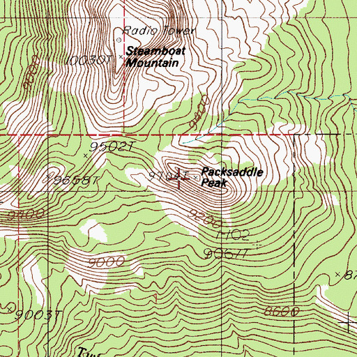 Topographic Map of Packsaddle Peak, MT