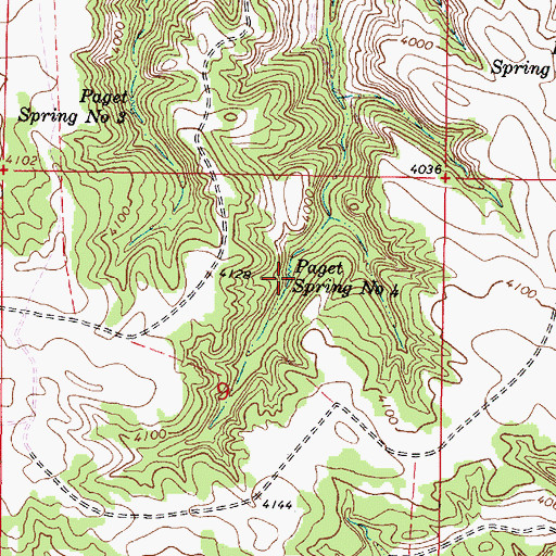 Topographic Map of Paget Spring Number Four, MT