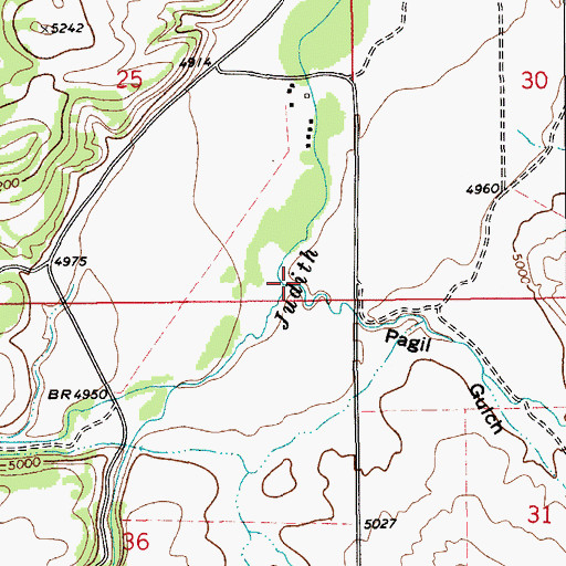 Topographic Map of Pagil Gulch, MT