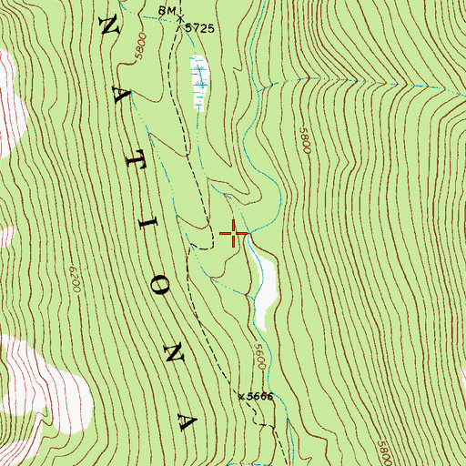 Topographic Map of Pagoda Creek, MT