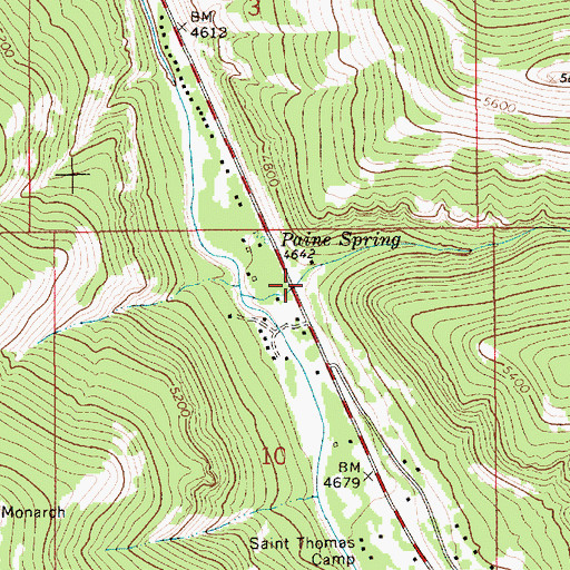 Topographic Map of Paine Gulch, MT