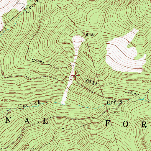 Topographic Map of Paint Creek Trail, MT