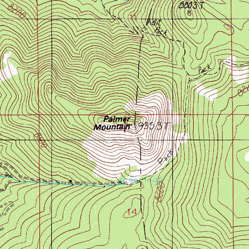 Topographic Map of Palmer Mountain, MT