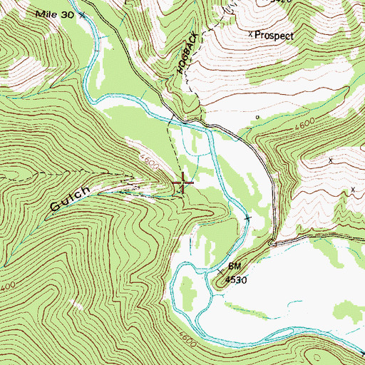 Topographic Map of Palouse Gulch, MT