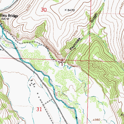 Topographic Map of Papoose Gulch, MT