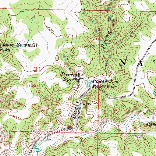 Topographic Map of Parrish Spring, MT