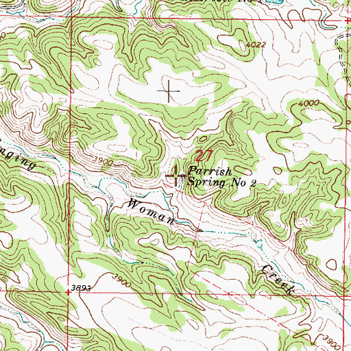 Topographic Map of Parrish Spring Number Two, MT