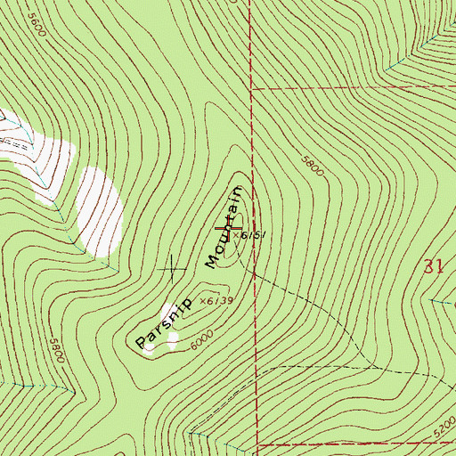 Topographic Map of Parsnip Mountain, MT