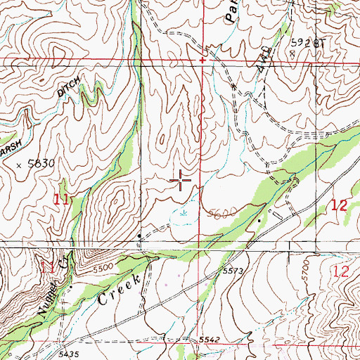 Topographic Map of Parson Gulch, MT