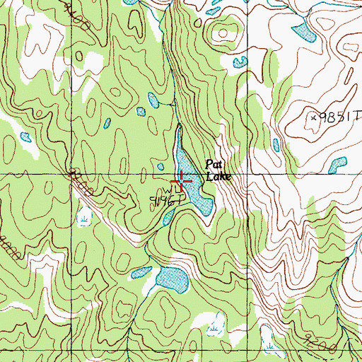 Topographic Map of Pat Lake, MT