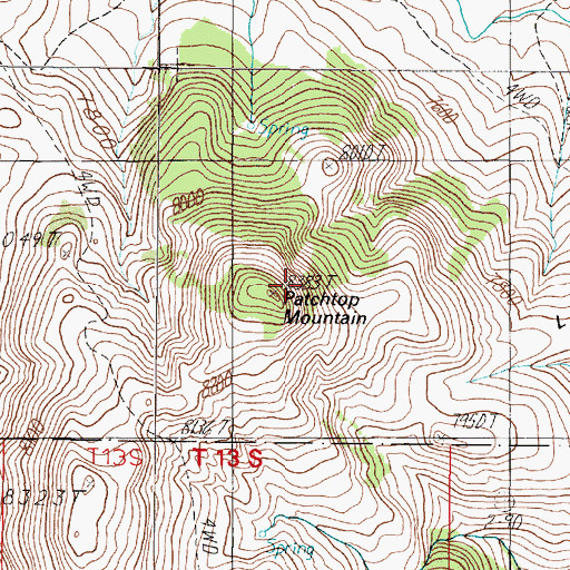 Topographic Map of Patchtop Mountain, MT