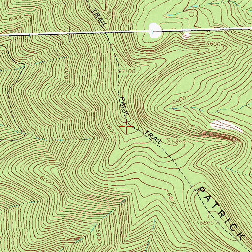 Topographic Map of Patrick Ridge, MT