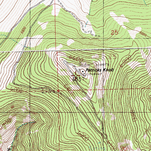 Topographic Map of Patricks Knob, MT