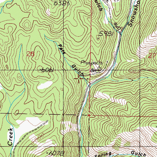 Topographic Map of Pats Gulch, MT