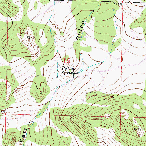 Topographic Map of Patton Spring, MT