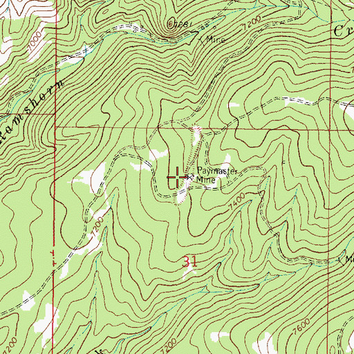 Topographic Map of Paymaster Mine, MT