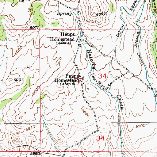 Topographic Map of Payne Homestead, MT
