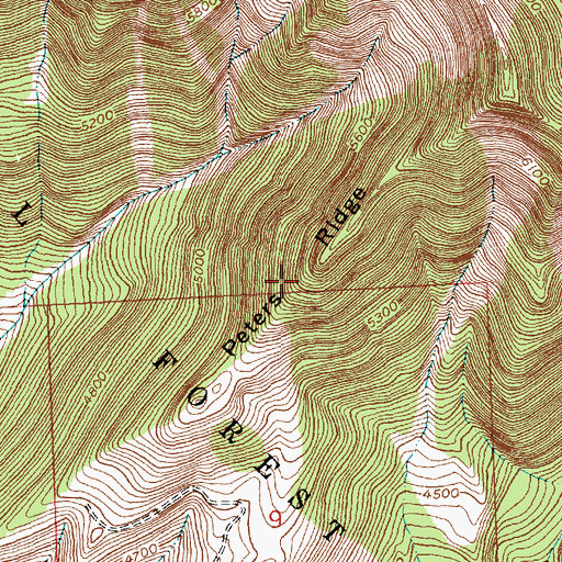 Topographic Map of Peters Ridge, MT