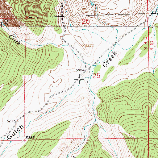 Topographic Map of Peterson Gulch, MT