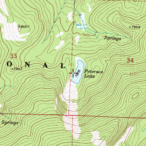 Topographic Map of Peterson Lake, MT
