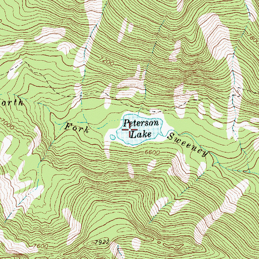 Topographic Map of Peterson Lake, MT