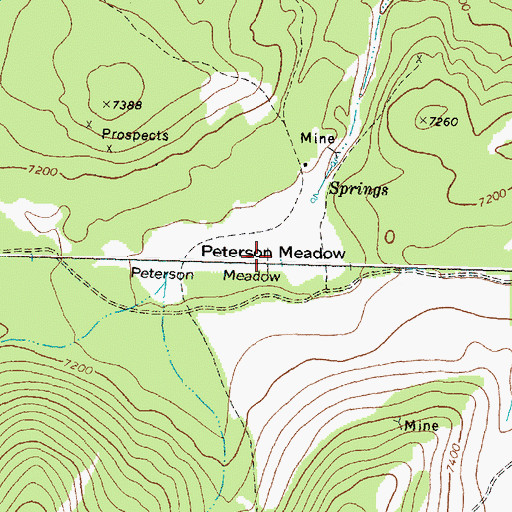 Topographic Map of Peterson Meadow, MT