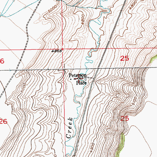 Topographic Map of Peterson Place, MT
