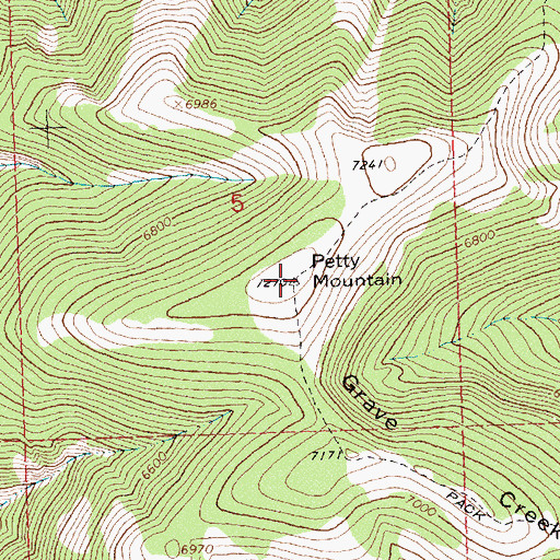 Topographic Map of Petty Mountain, MT