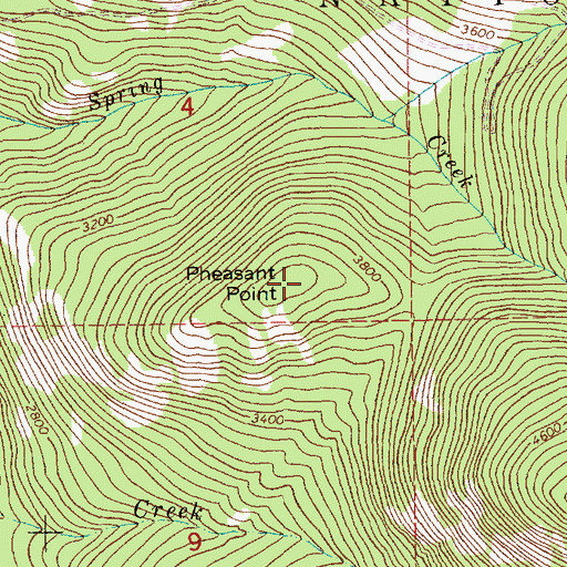 Topographic Map of Pheasant Point, MT