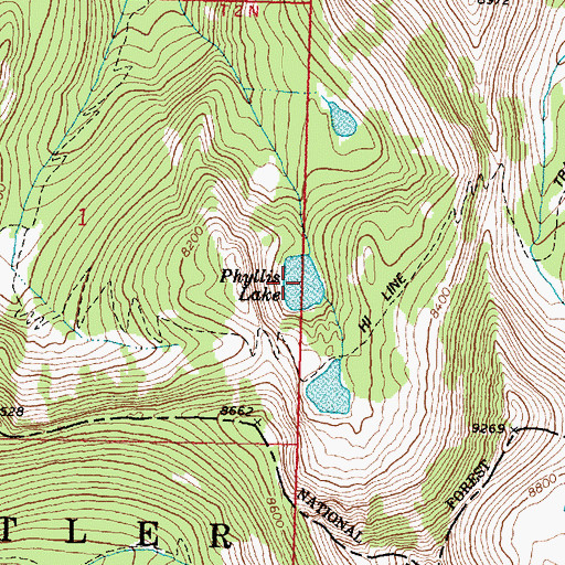 Topographic Map of Phyllis Lake, MT
