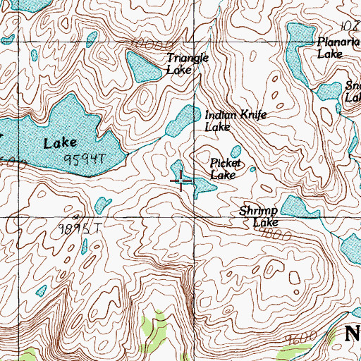 Topographic Map of Picket Lake, MT
