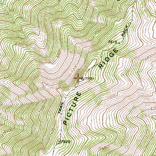 Topographic Map of Picture Ridge, MT