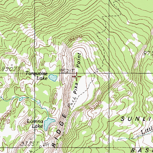 Topographic Map of Pika Point, MT