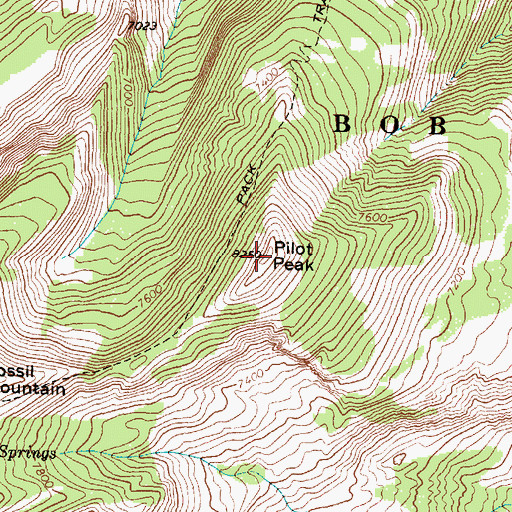 Topographic Map of Pilot Peak, MT