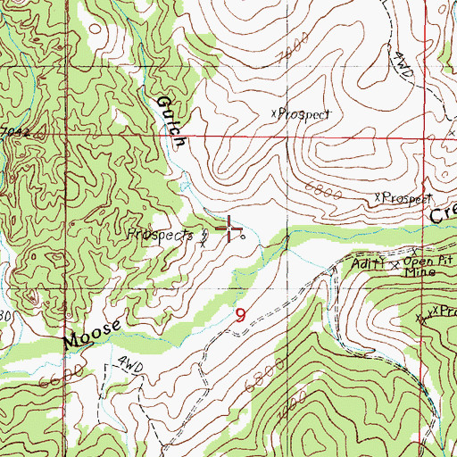 Topographic Map of Pine Gulch, MT