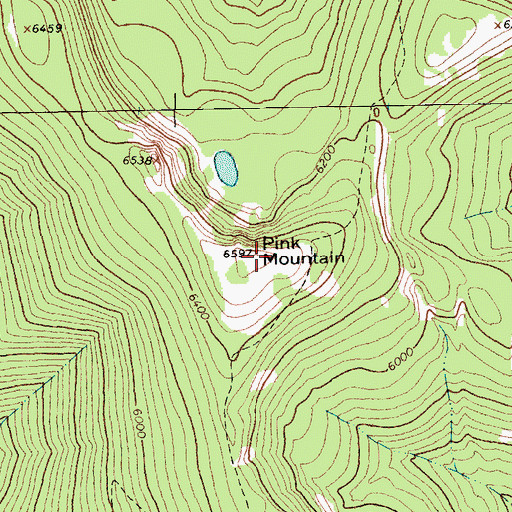 Topographic Map of Pink Mountain, MT