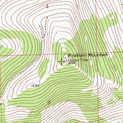 Topographic Map of Pinkham Mountain, MT