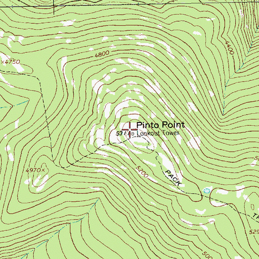Topographic Map of Pinto Point, MT