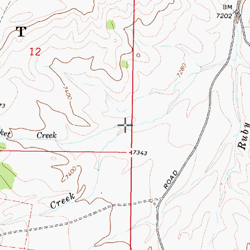 Topographic Map of Pocket Creek, MT