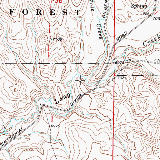 Topographic Map of Pole Creek, MT