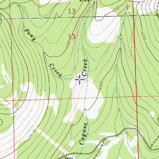 Topographic Map of Pony Creek, MT