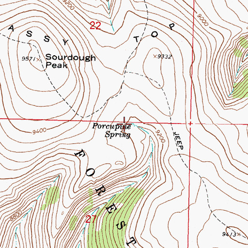 Topographic Map of Porcupine Spring, MT