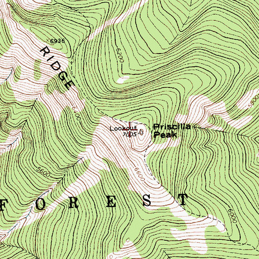 Topographic Map of Priscilla Peak, MT