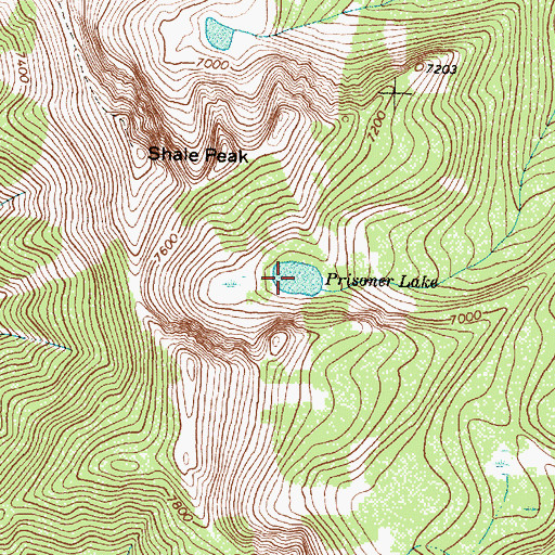 Topographic Map of Prisoner Lake, MT