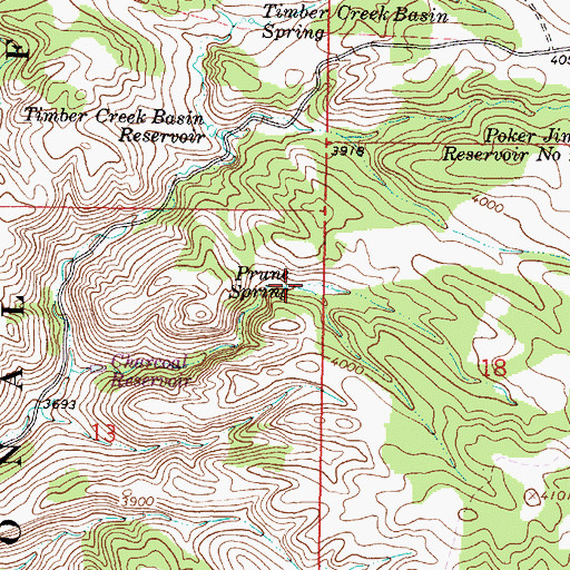 Topographic Map of Prune Spring, MT