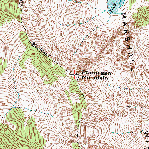 Topographic Map of Ptarmigan Mountain, MT
